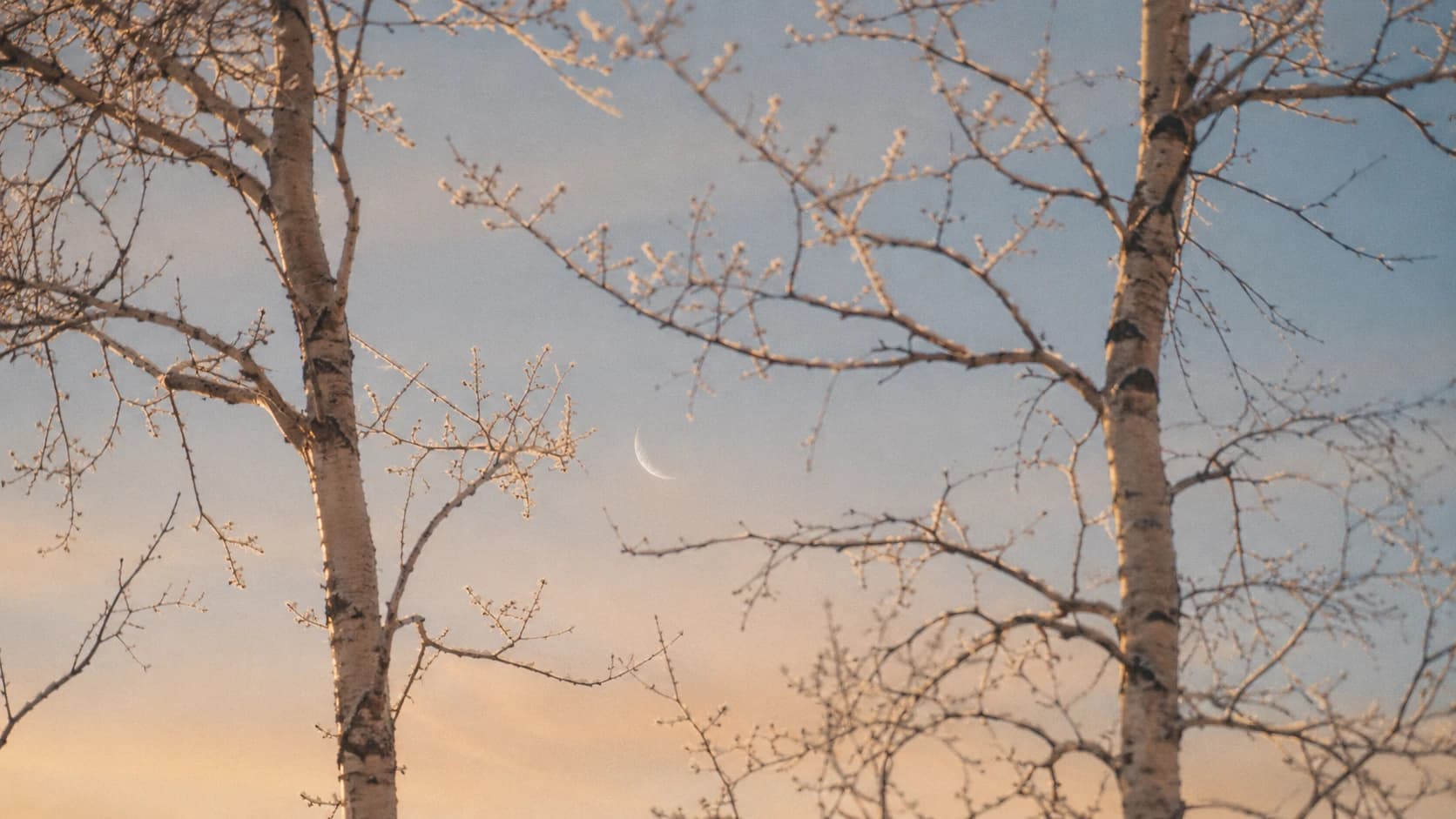 Luna nueva en Géminis 2026: sembrar ideas nuevas